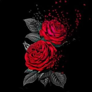 Meet your Posher, Kaena